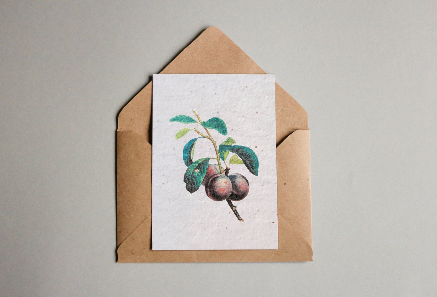Postkarten aus Samenpapier Enzyklopädie Küche - Seedpaper / Samenpapier - Speedjust Schweiz