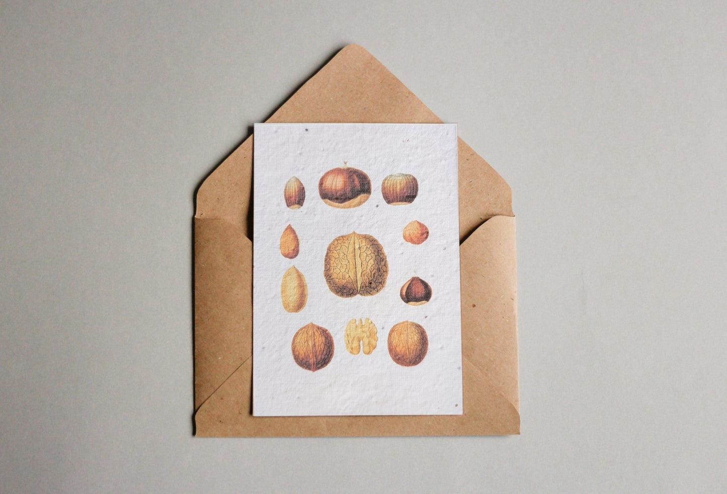 Postkarten aus Samenpapier Enzyklopädie Küche - Seedpaper / Samenpapier - Speedjust Schweiz