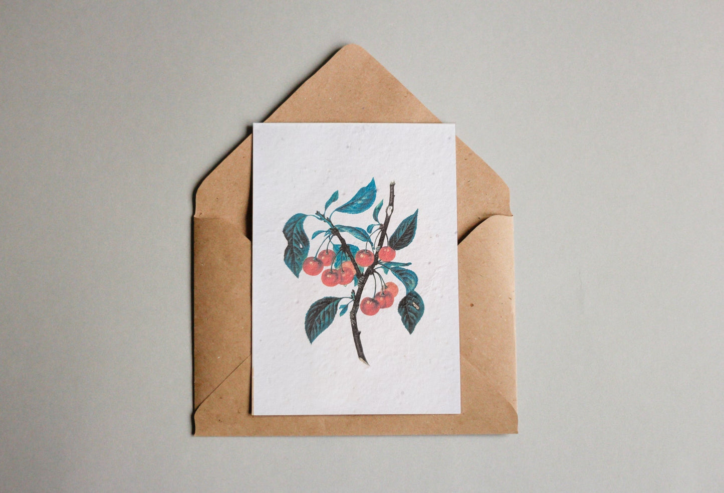 Postkarten aus Samenpapier Enzyklopädie Küche - Seedpaper / Samenpapier - Speedjust Schweiz