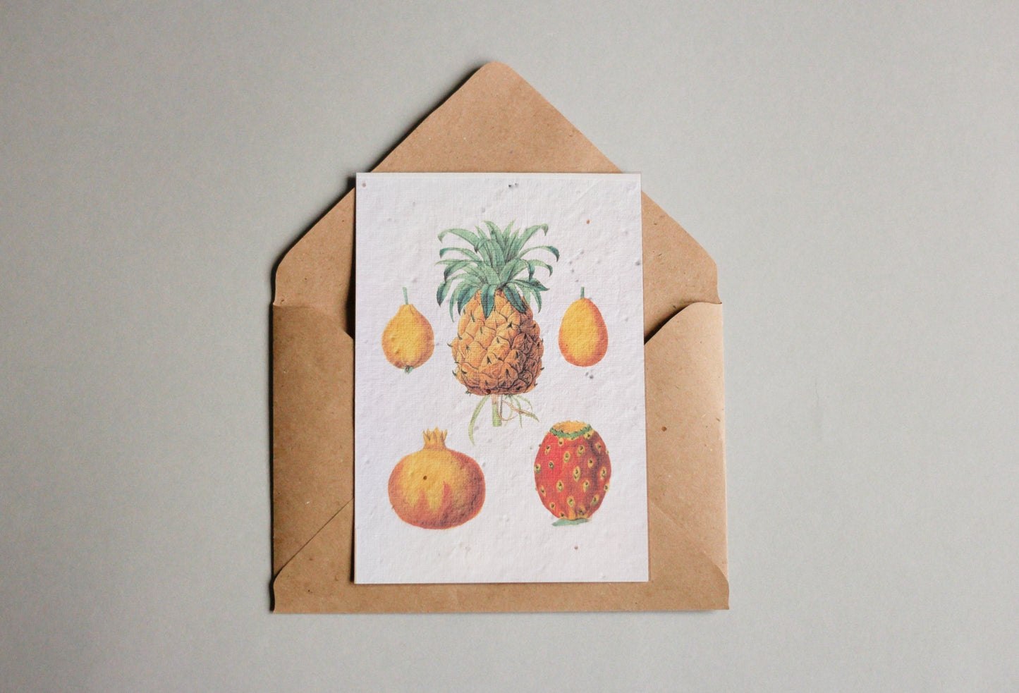 Postkarten aus Samenpapier Enzyklopädie Küche - Seedpaper / Samenpapier - Speedjust Schweiz