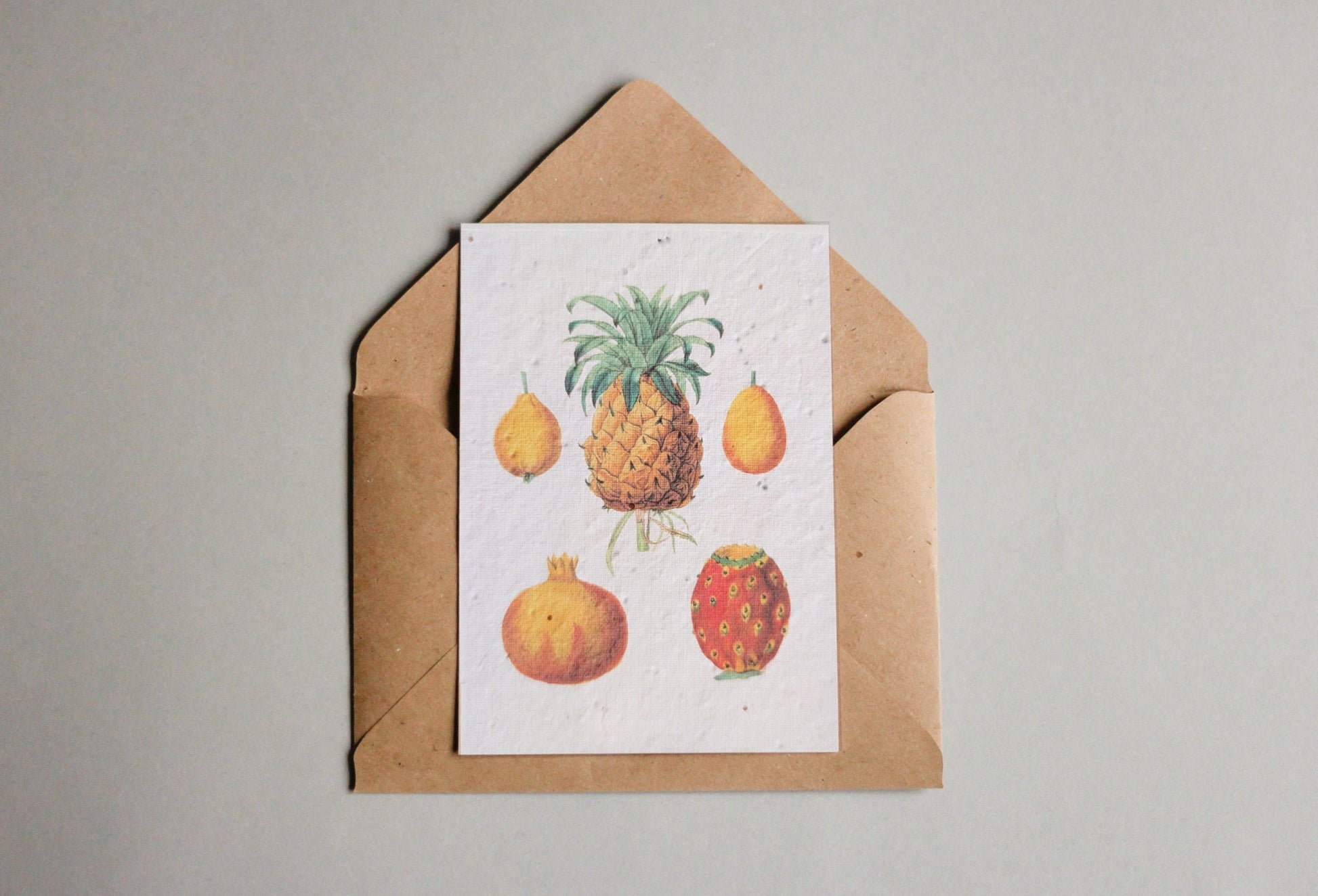 Postkarten aus Samenpapier Enzyklopädie Küche - Seedpaper / Samenpapier - Speedjust Schweiz