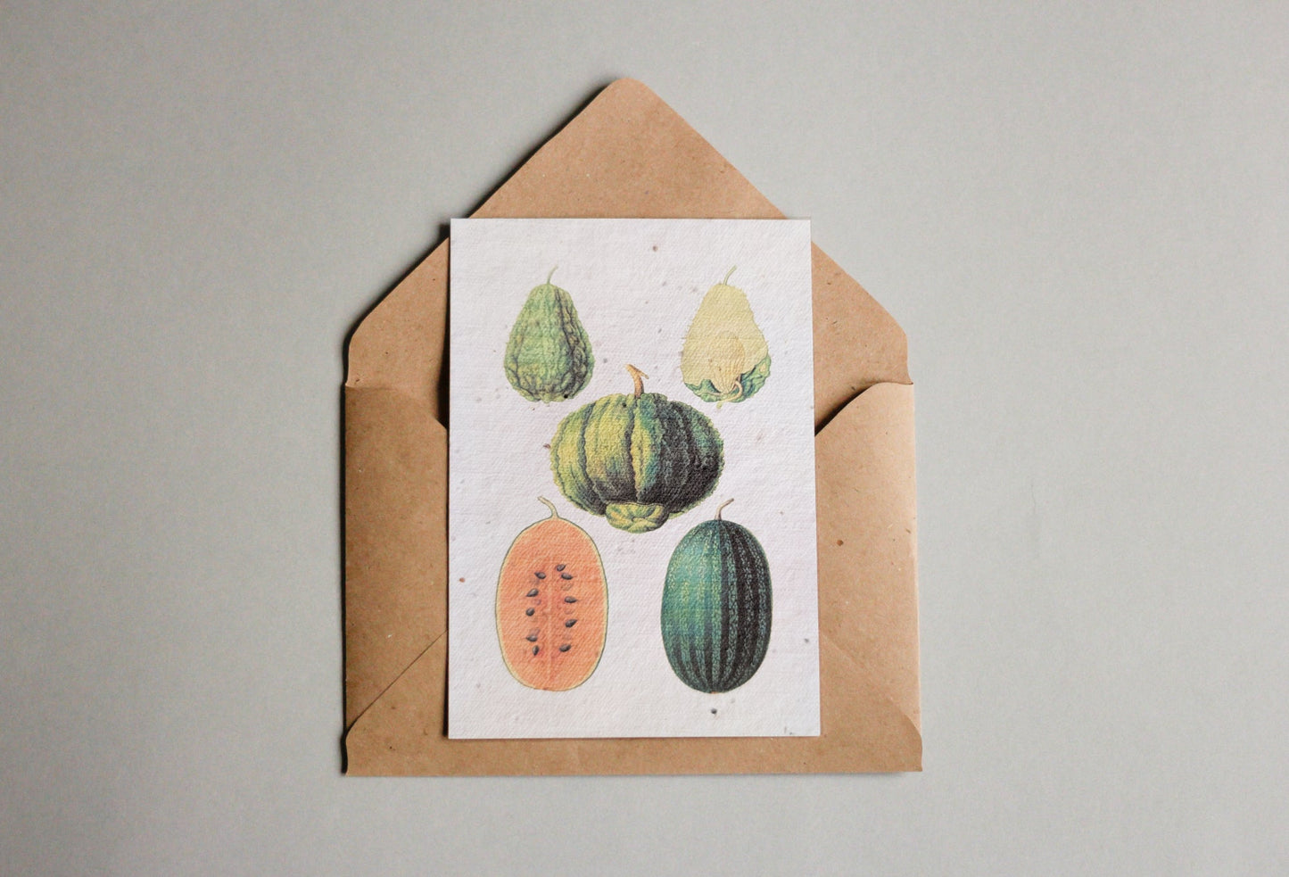 Postkarten aus Samenpapier Enzyklopädie Küche - Seedpaper / Samenpapier - Speedjust Schweiz