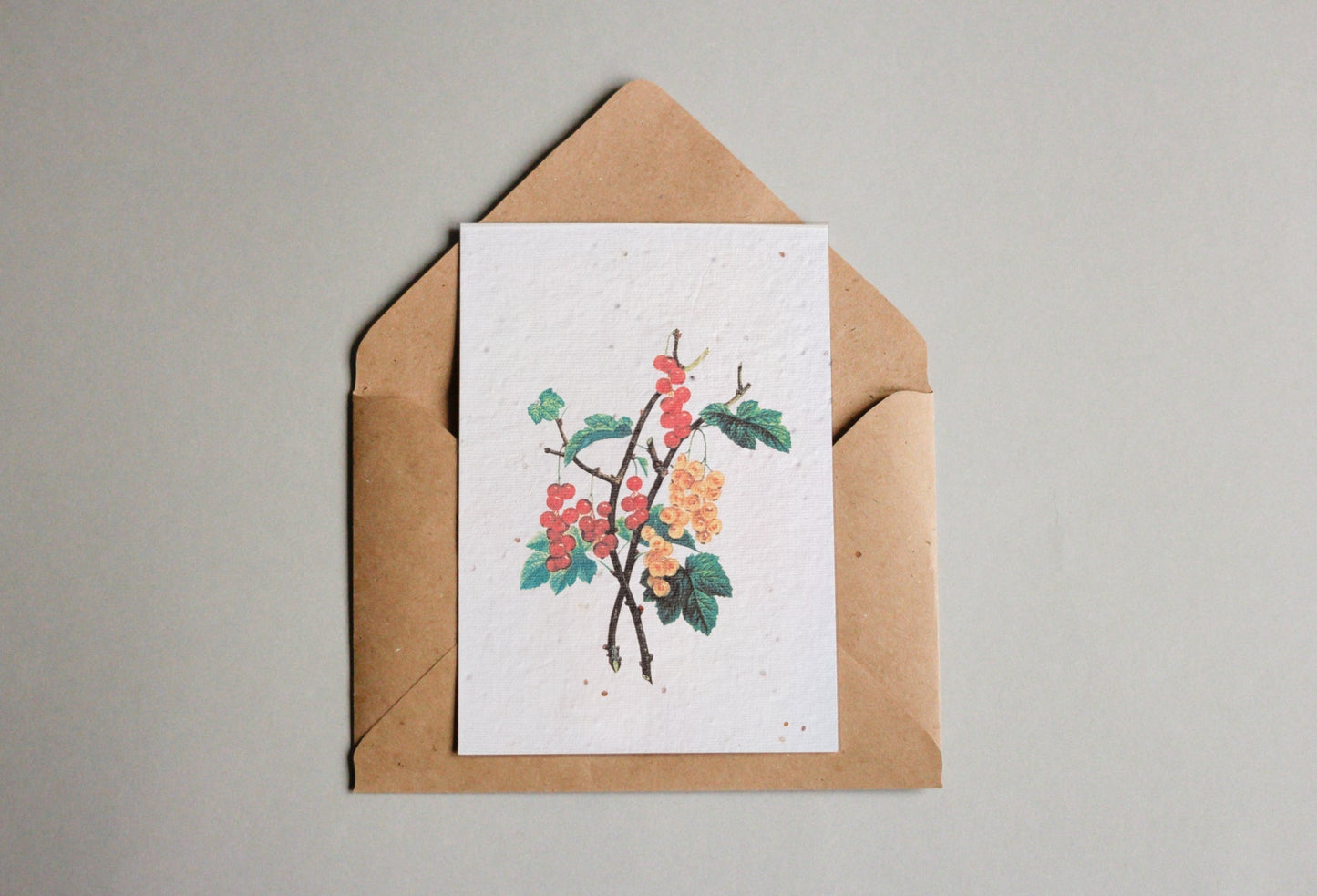 Postkarten aus Samenpapier Enzyklopädie Küche - Seedpaper / Samenpapier - Speedjust Schweiz