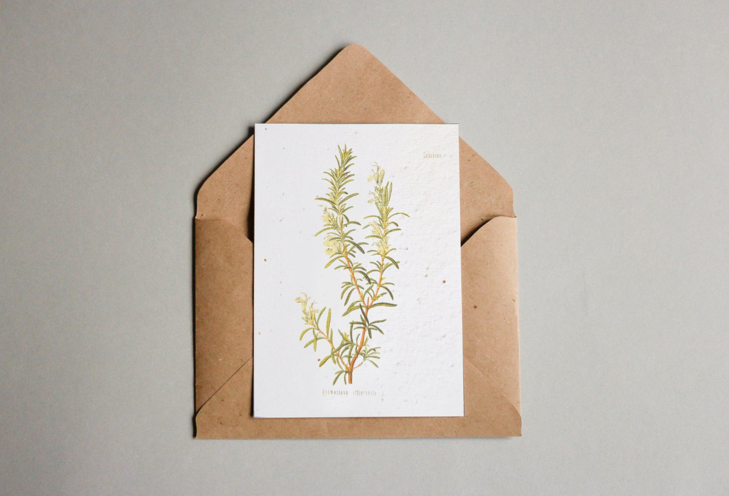 Postkarten aus Samenpapier Enzyklopädie - Seedpaper / Samenpapier - Speedjust Schweiz