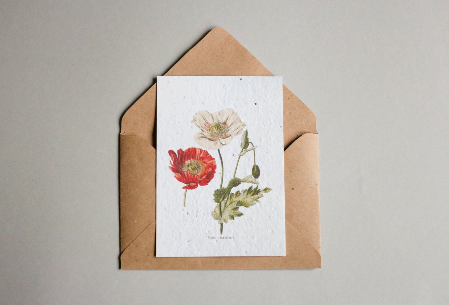 Postkarten aus Samenpapier Enzyklopädie - Seedpaper / Samenpapier - Speedjust Schweiz