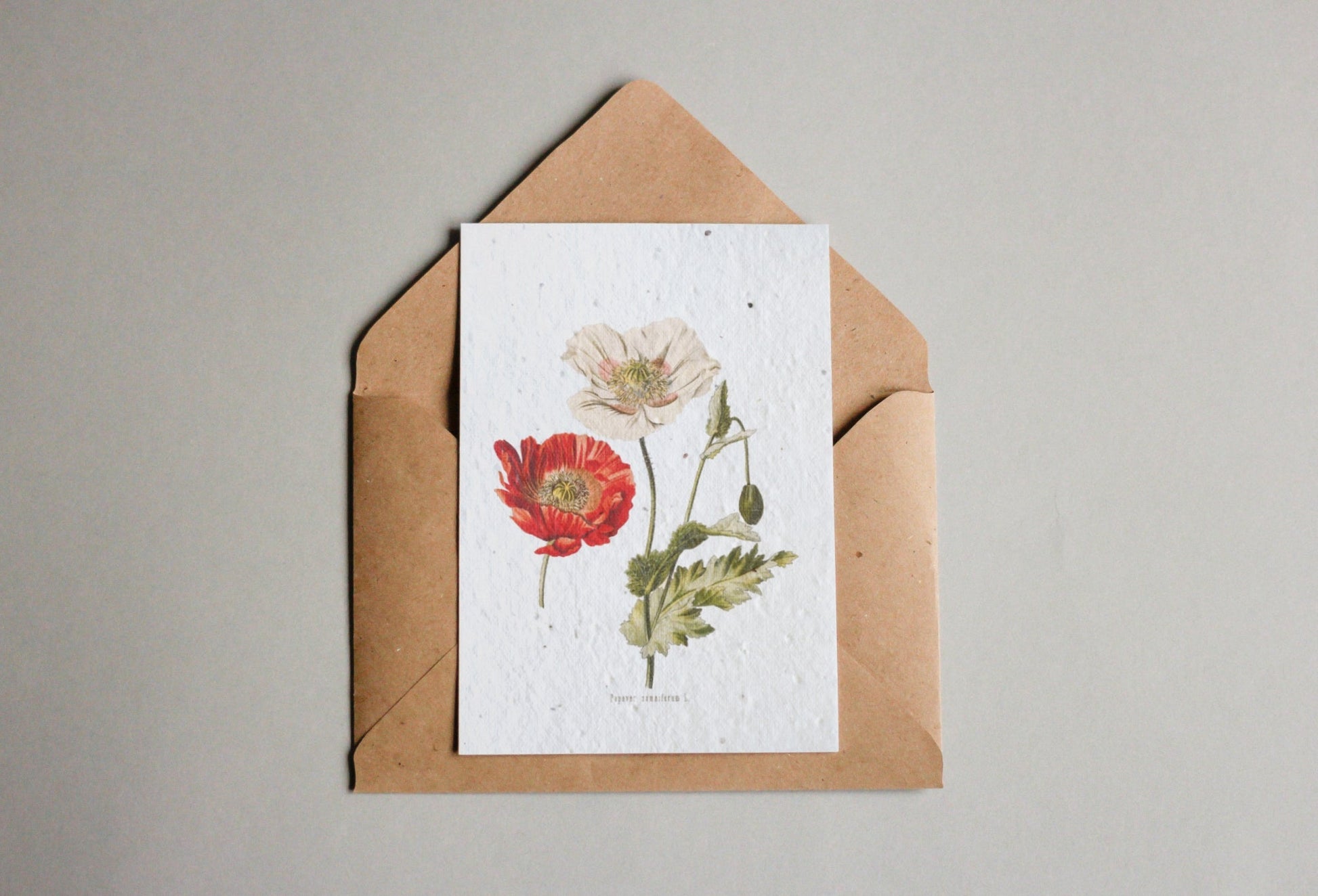 Postkarten aus Samenpapier Enzyklopädie - Seedpaper / Samenpapier - Speedjust Schweiz