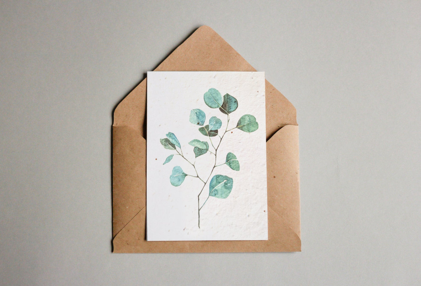 Postkarten aus Samenpapier - Eukalyptus - Seedpaper / Samenpapier - Speedjust Schweiz