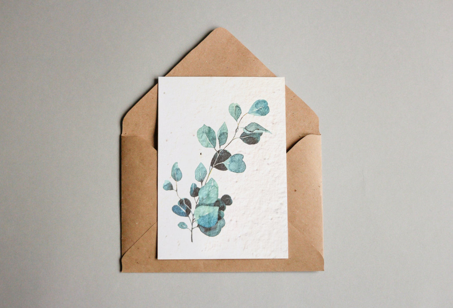 Postkarten aus Samenpapier - Eukalyptus - Seedpaper / Samenpapier - Speedjust Schweiz