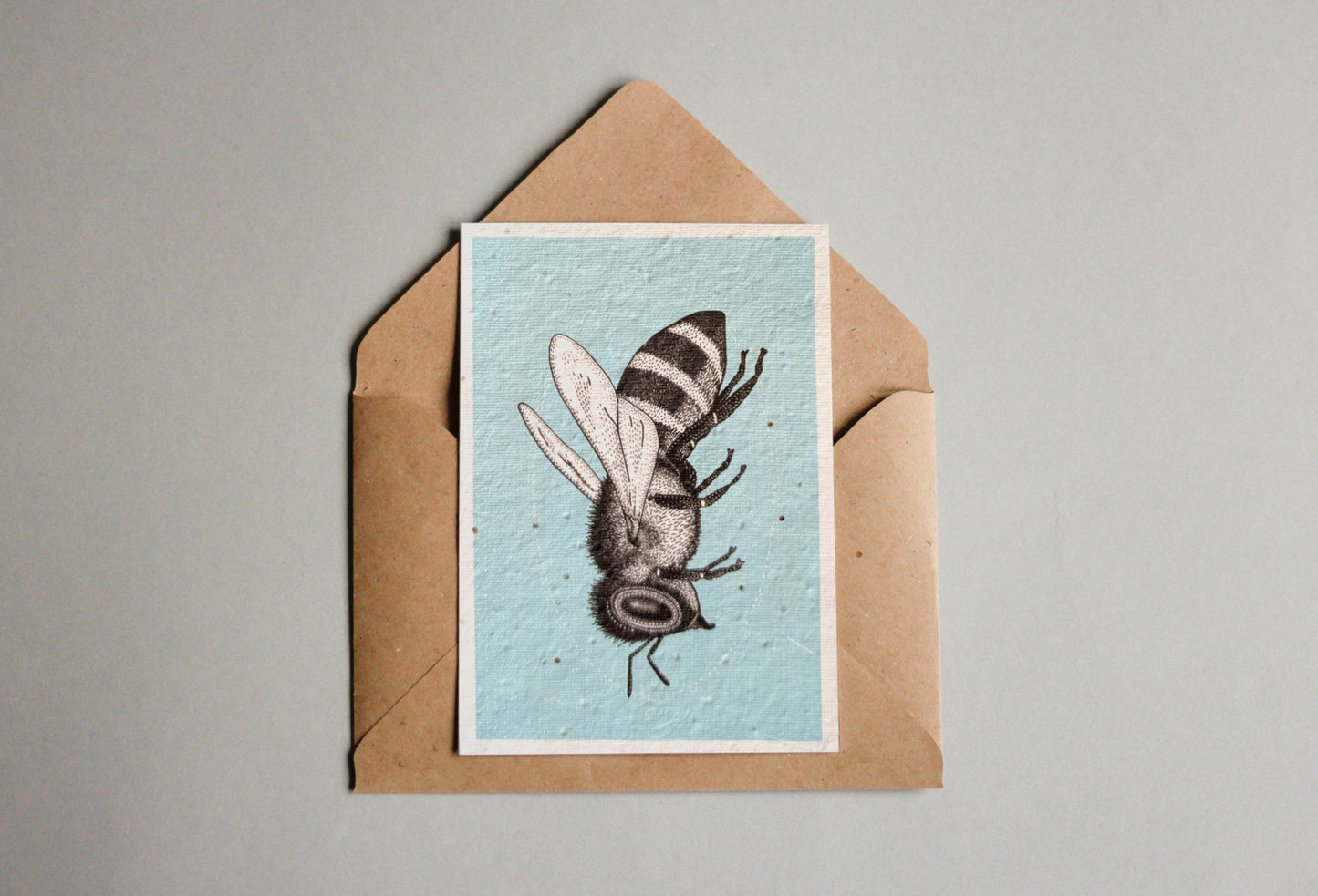 Postkarten aus Samenpapier - Simon Büchler - Seedpaper / Samenpapier - Speedjust Schweiz