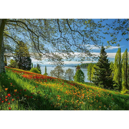 Frühlingsallee zur Tulpenblüte, Insel Mainau 1000 Teile