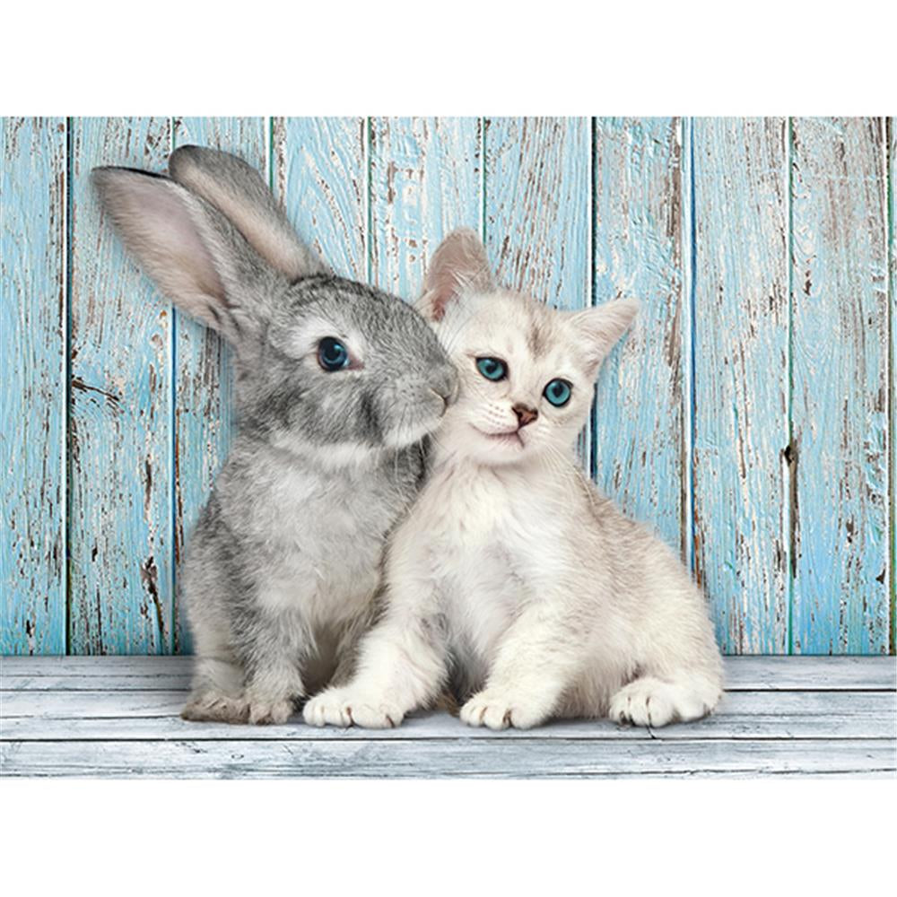 Katze & Hase