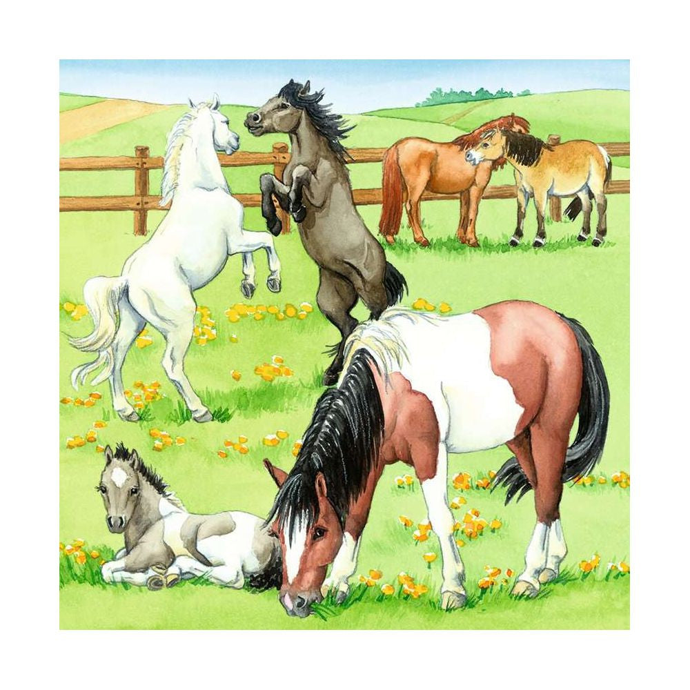 Una giornata al maneggio