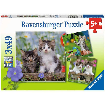 Süsse Samtpfötchen