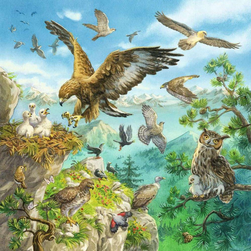 Tiere in ihren Lebensräumen