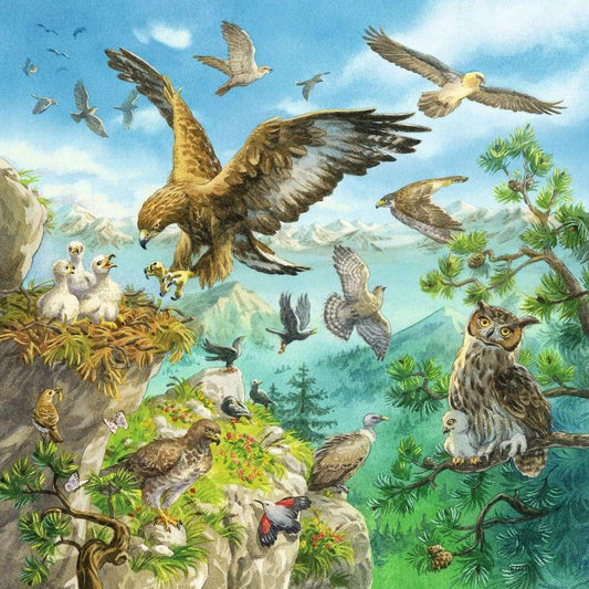 Tiere in ihren Lebensräumen