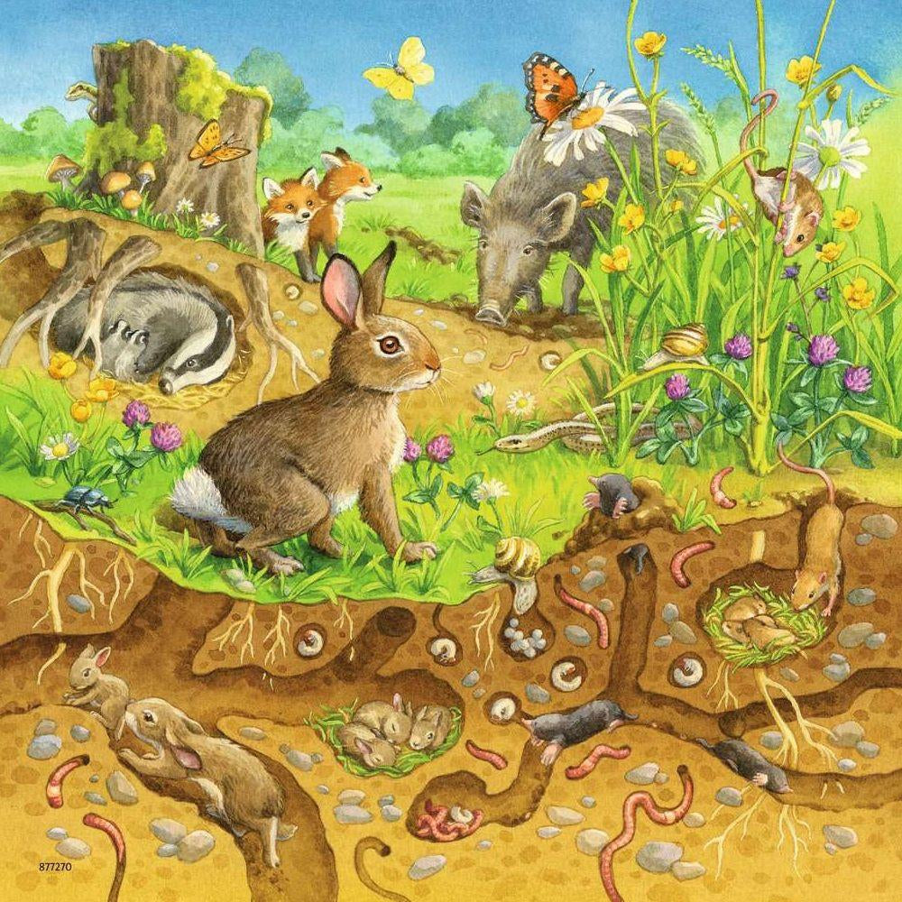 Tiere in ihren Lebensräumen