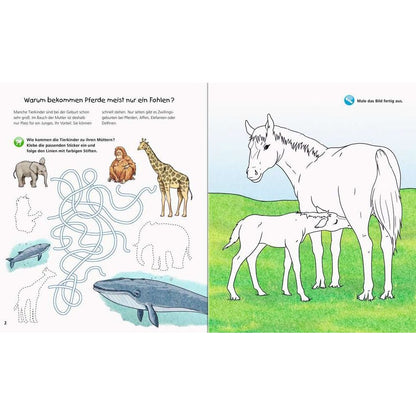 Perché? Per cosa? Come mai? Rivista Active: Cuccioli di animali