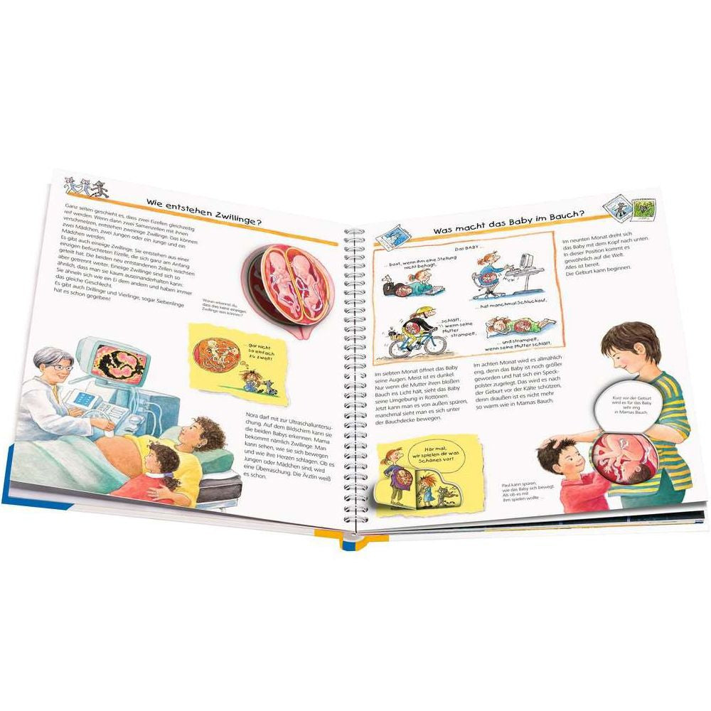 Perché? Per cosa? Come mai?, Volume 13: Da dove vengono i bambini piccoli