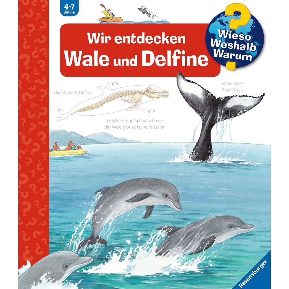 Wieso? Weshalb? Warum?, Band 41: Wir entdecken Wale und Delfine