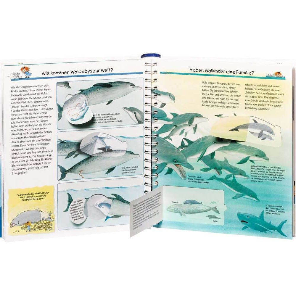 Perché? Cosa? Come?, Volume 41: Scopriamo balene e delfini