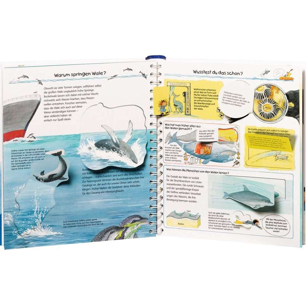 Perché? Cosa? Come?, Volume 41: Scopriamo balene e delfini