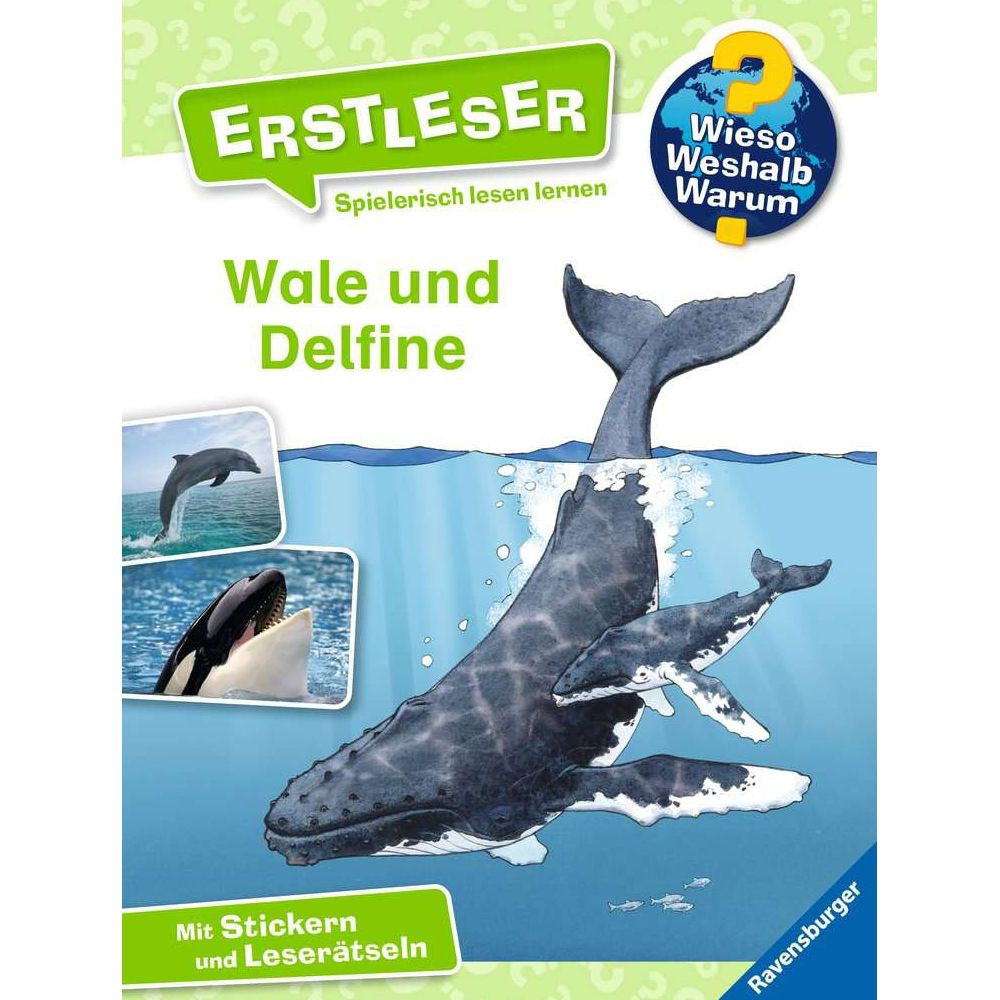 Wieso? Weshalb? Warum? Erstleser, Band 3: Wale und Delfine