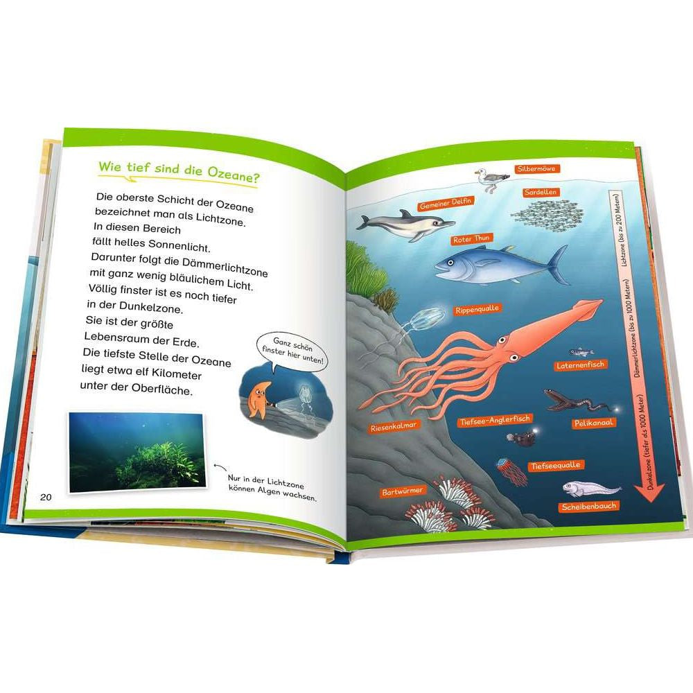 Wieso? Weshalb? Warum? Erstleser, Band 8: Ozeane