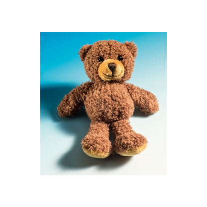 Magnetics Teddy Tom