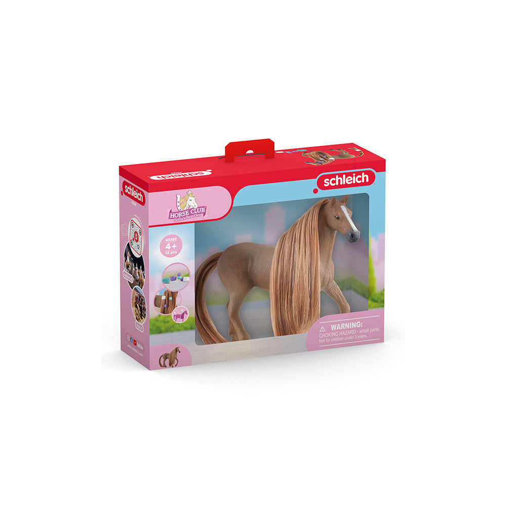 Beauty Horse Englisch Vollblut Stute