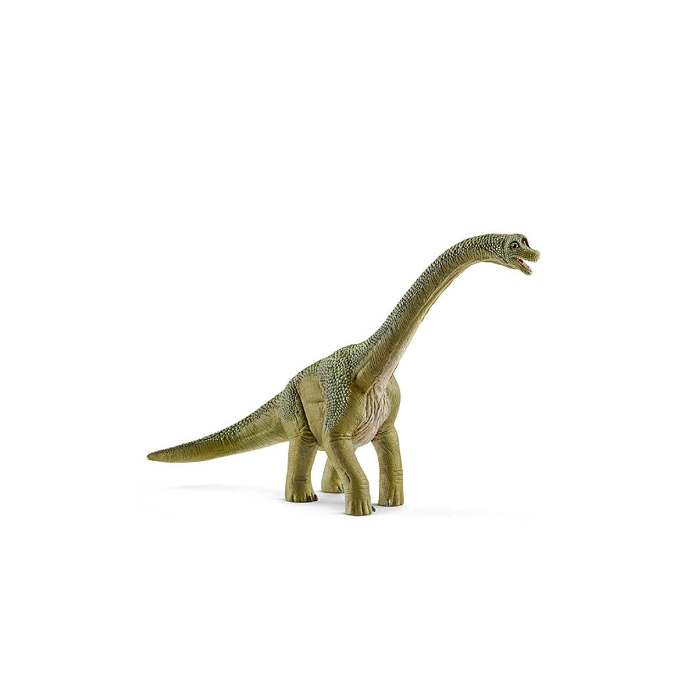 Brachiosaurus