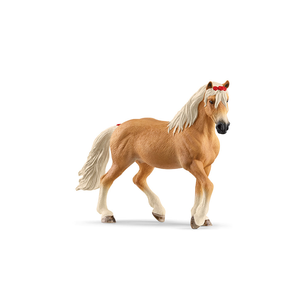 Haflinger Stute