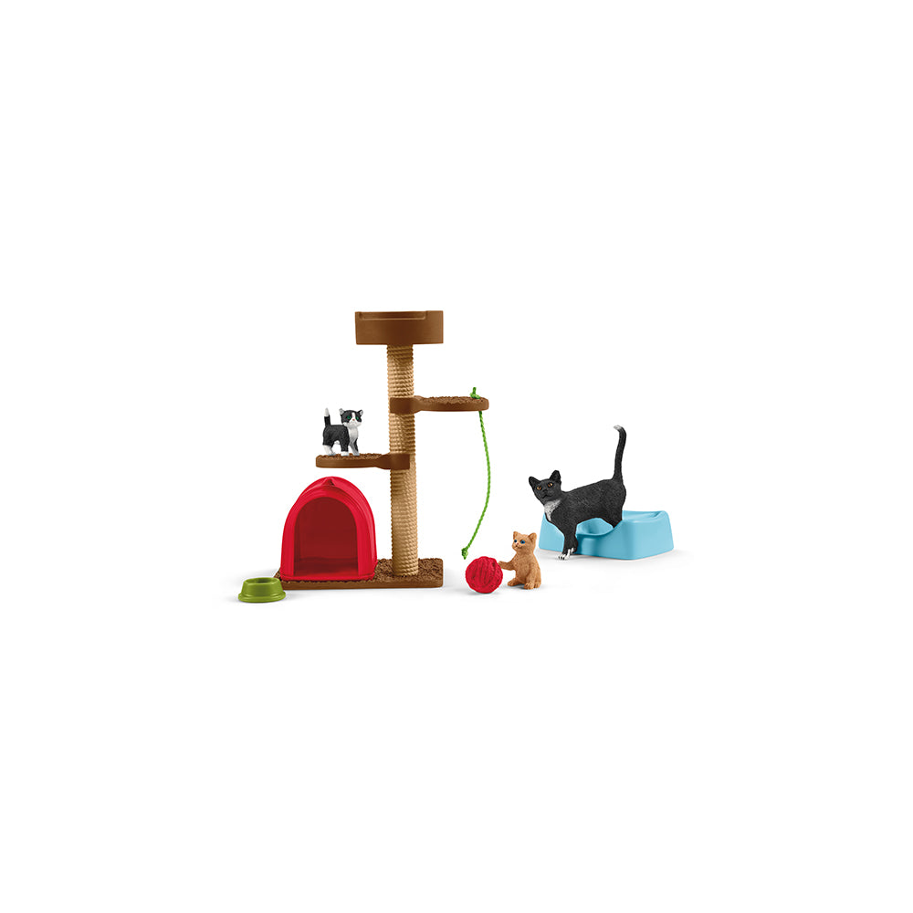 Spielspass für niedliche Katzen