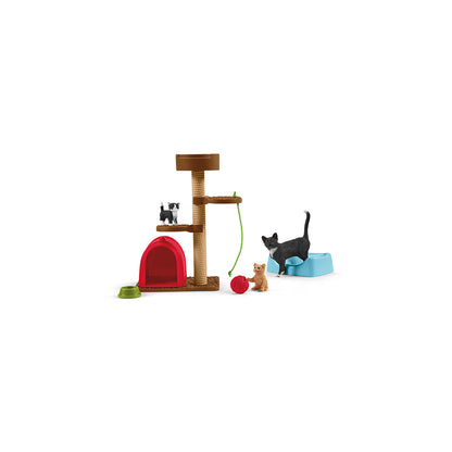 Spielspass für niedliche Katzen