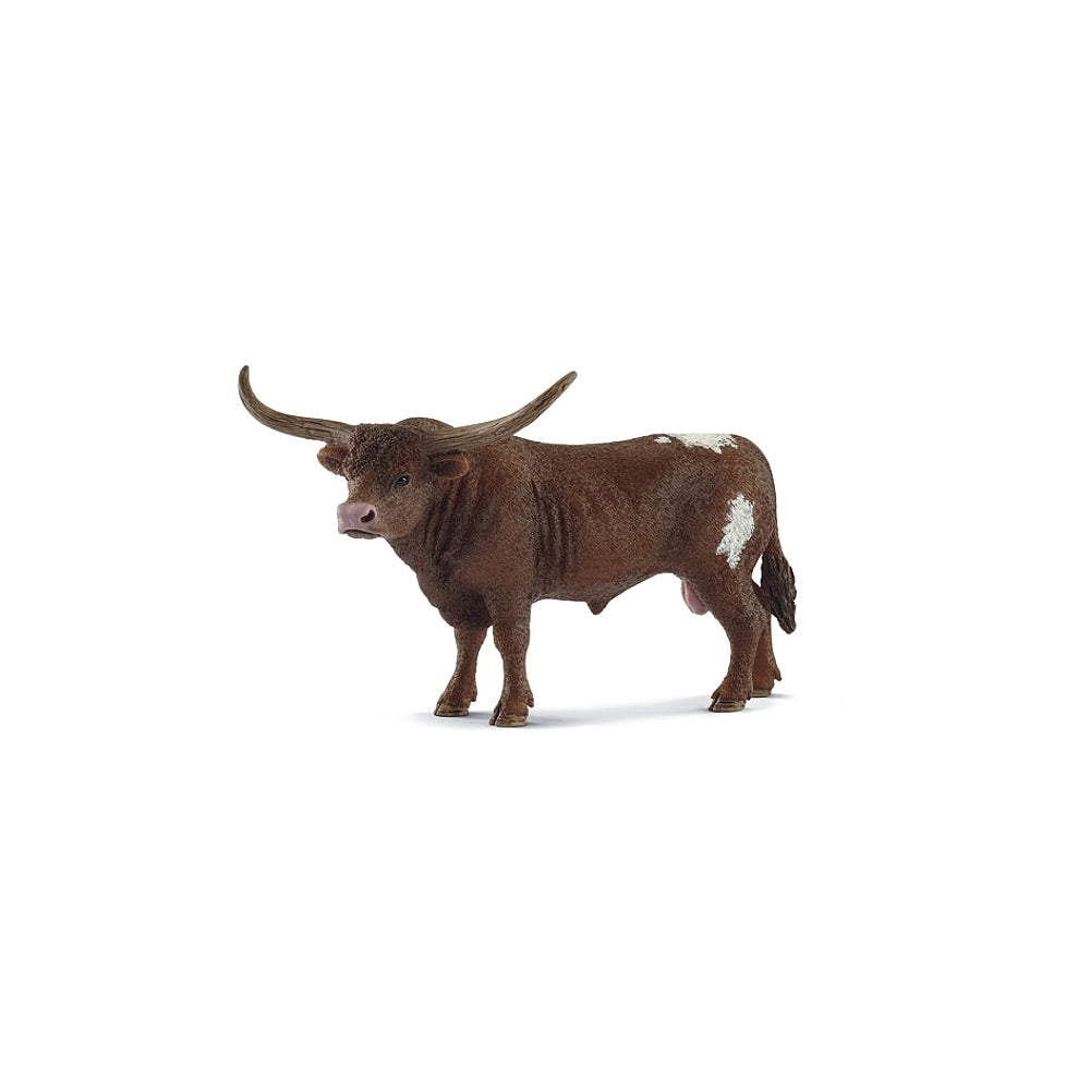 Texas Longhorn Bulle