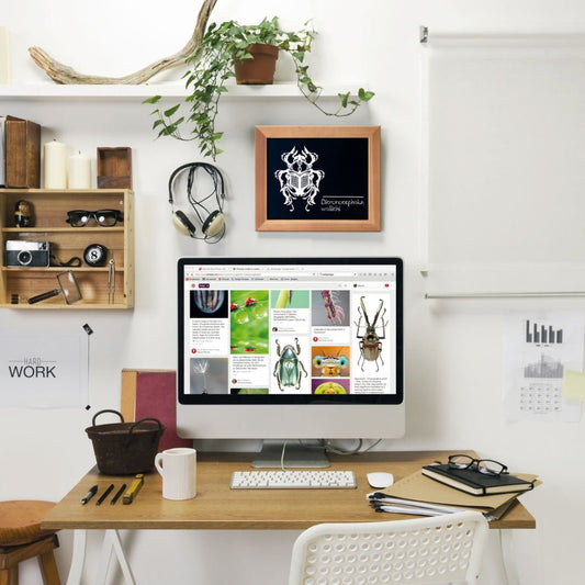 Securit® Wandkreidetafel Budget – Holzrahmen Hellbraun, 20×24cm - Wandtafel - Speedjust Schweiz