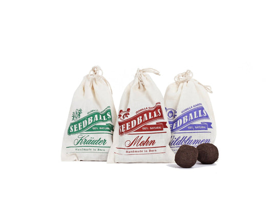 Seedballs 3er - Multipack - Seedballs - Speedjust Schweiz