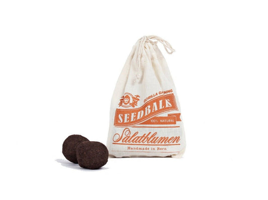 Seedballs Salatblumen - Speedjust Schweiz