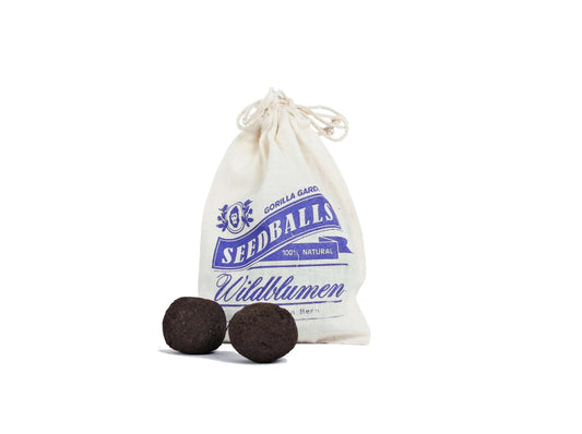 Seedballs Wildblumen - Speedjust Schweiz