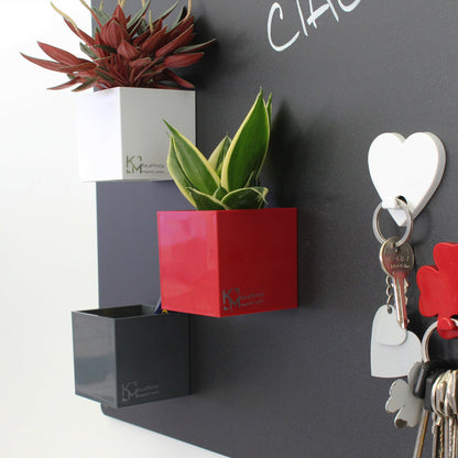 KalaMitica® Magnetische Würfelbehälter Neodym, Ø6cm, Anthrazit/Rot/Weiss, 3 Stk.