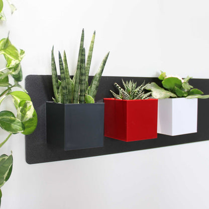 KalaMitica® Magnetische Würfelbehälter Neodym, Ø6cm, Anthrazit/Rot/Weiss, 3 Stk.