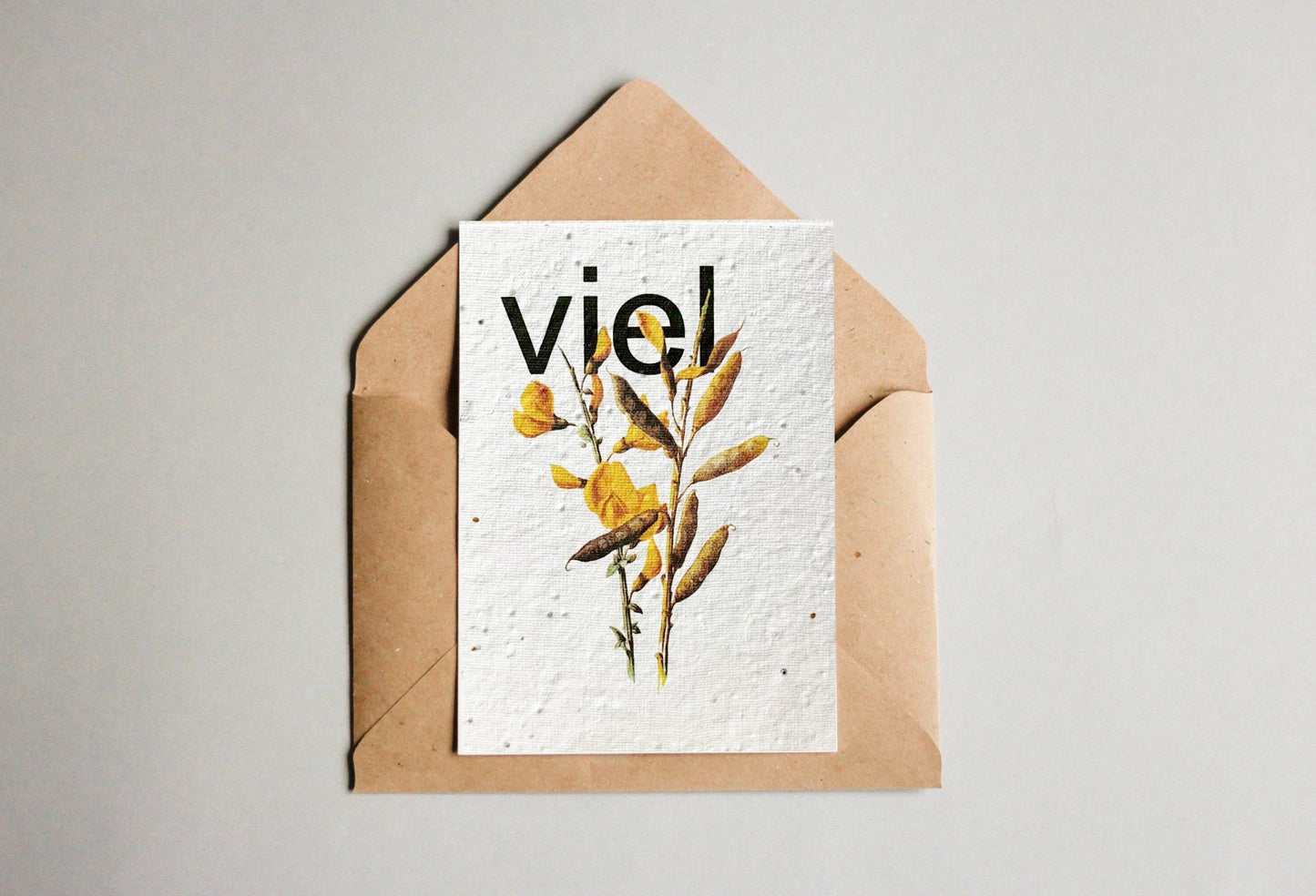Set mit Samenpapier - Postkarten - Universelle Wünsche - Seedpaper / Samenpapier - Speedjust Schweiz