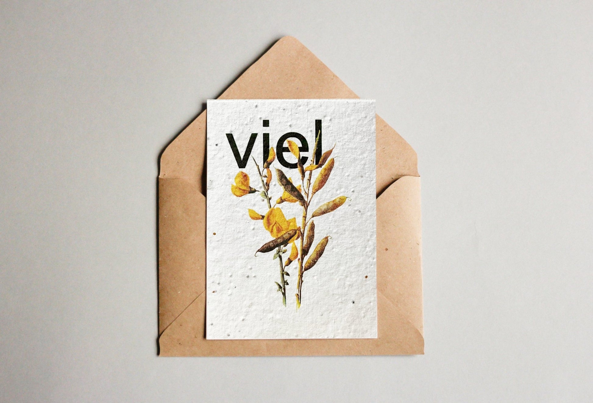 Set mit Samenpapier - Postkarten - Universelle Wünsche - Seedpaper / Samenpapier - Speedjust Schweiz