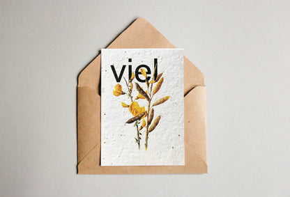 Set mit Samenpapier - Postkarten - Universelle Wünsche - Seedpaper / Samenpapier - Speedjust Schweiz