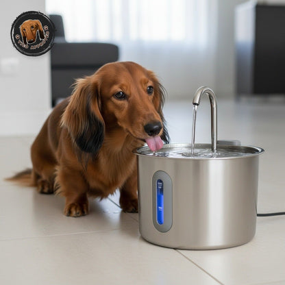 AquaVico - Trinkbrunnen für Hunde und Katzen