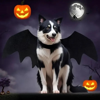 BatWings - Fledermausflügel für Hunde und Katzen