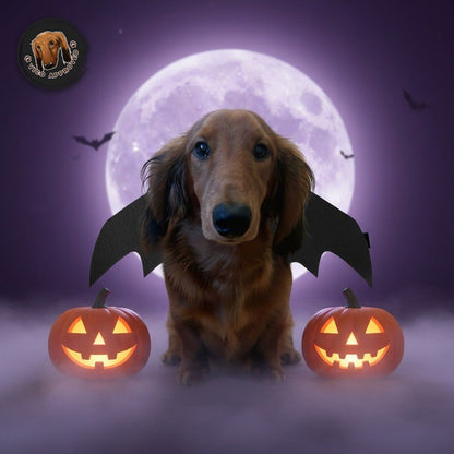 BatWings - Fledermausflügel für Hunde und Katzen