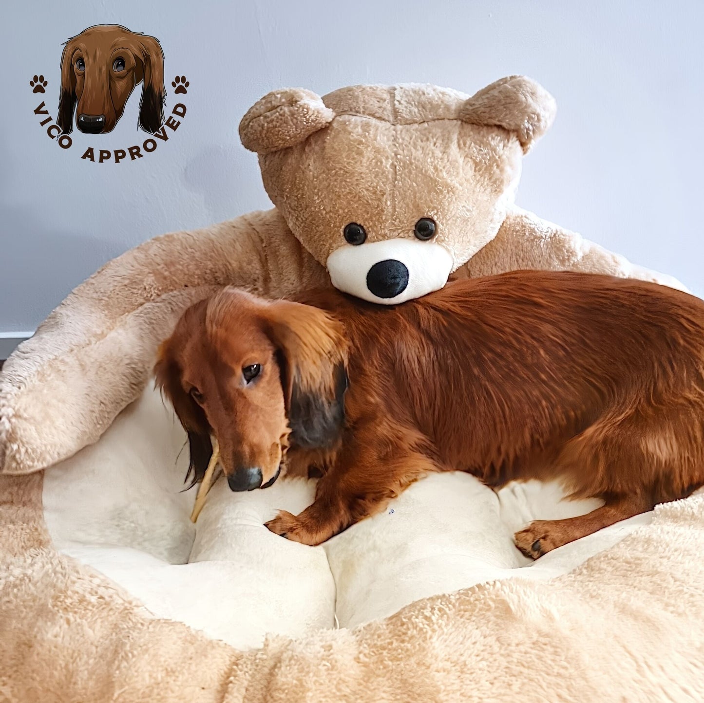 BearHug Dog Sofa