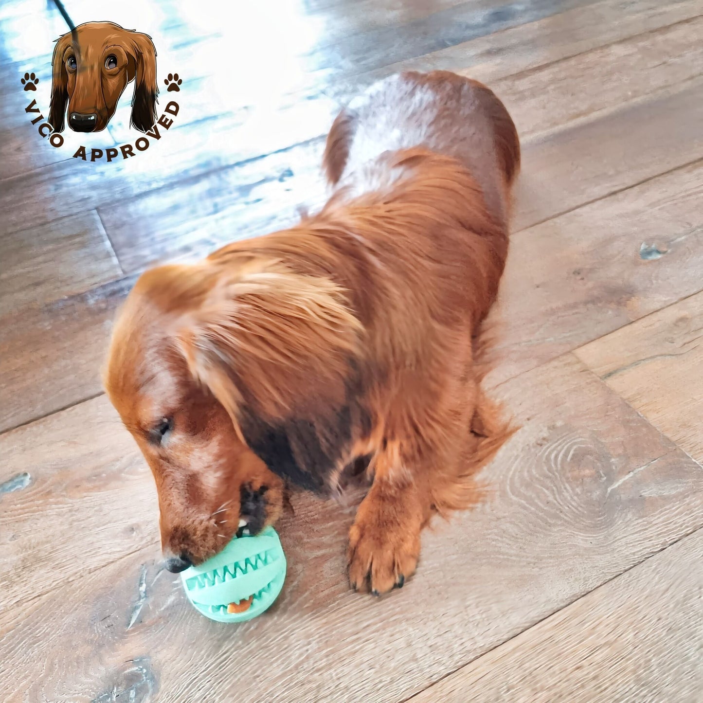ChewyChuckle Spielball