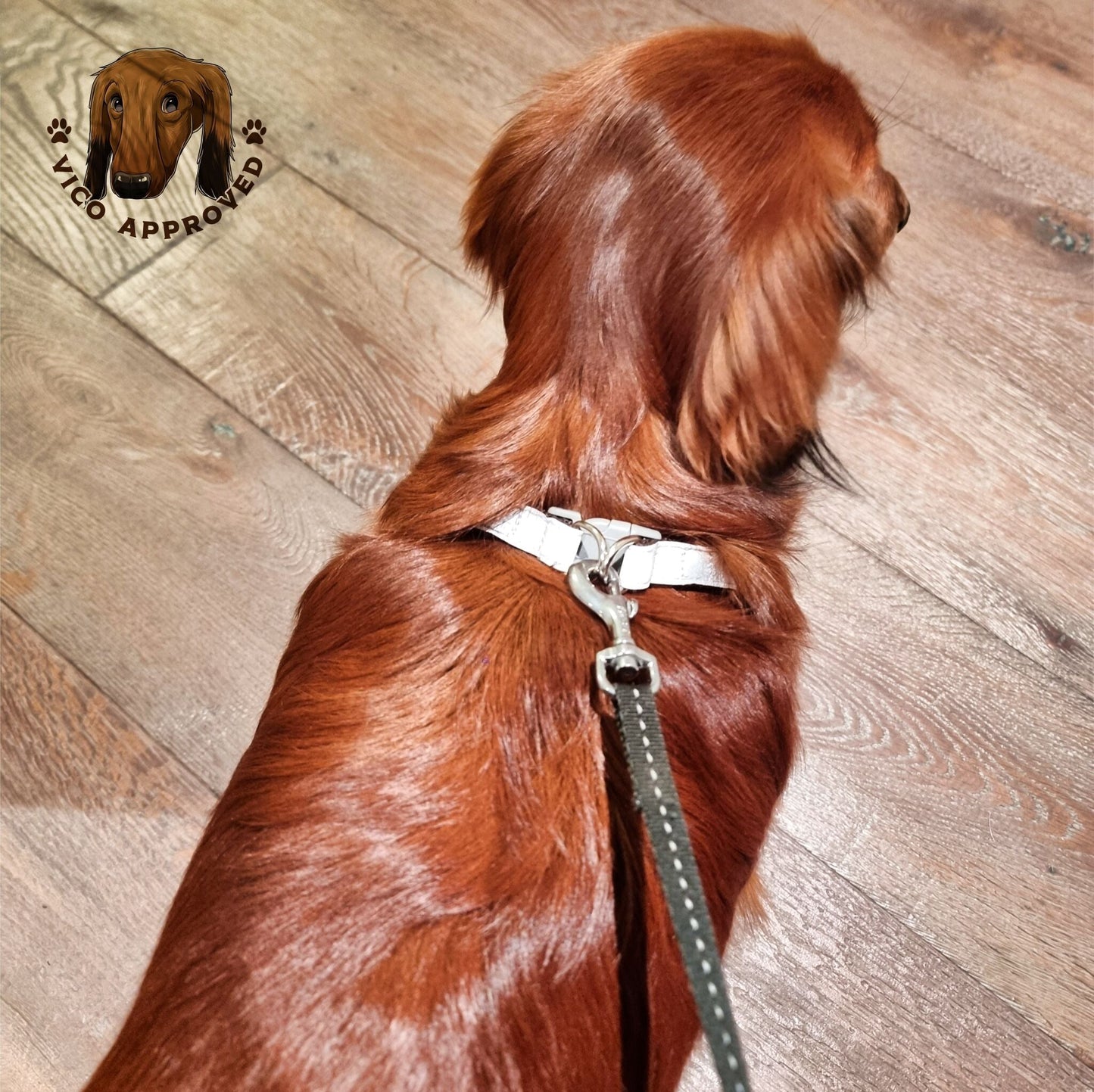 ComfyReflect Hundegeschirr