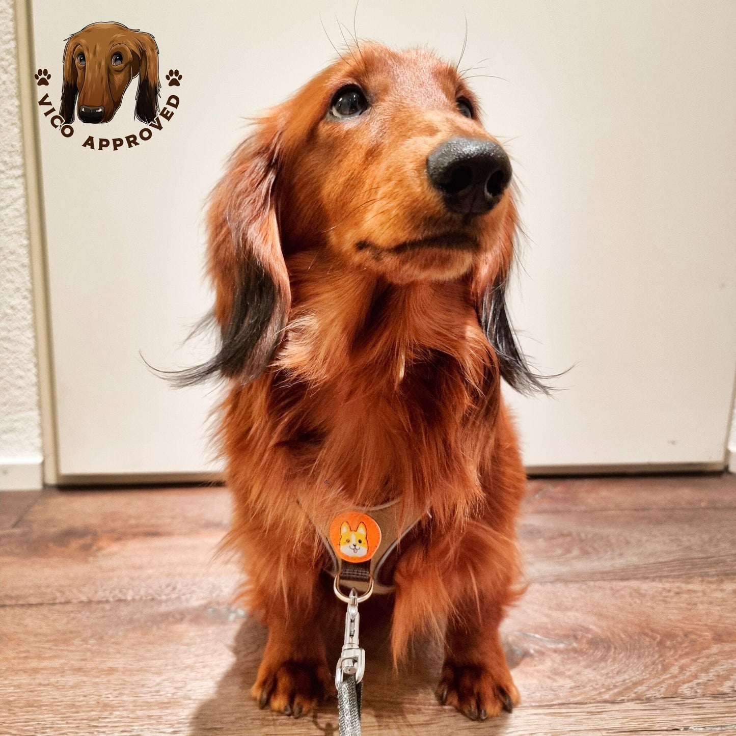 ComfyReflect Hundegeschirr